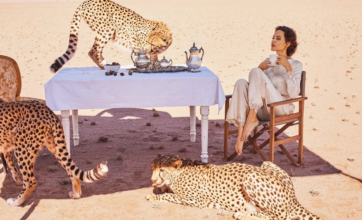 Angelina Jolie with cheetahs that she sponsored since they were cubs
